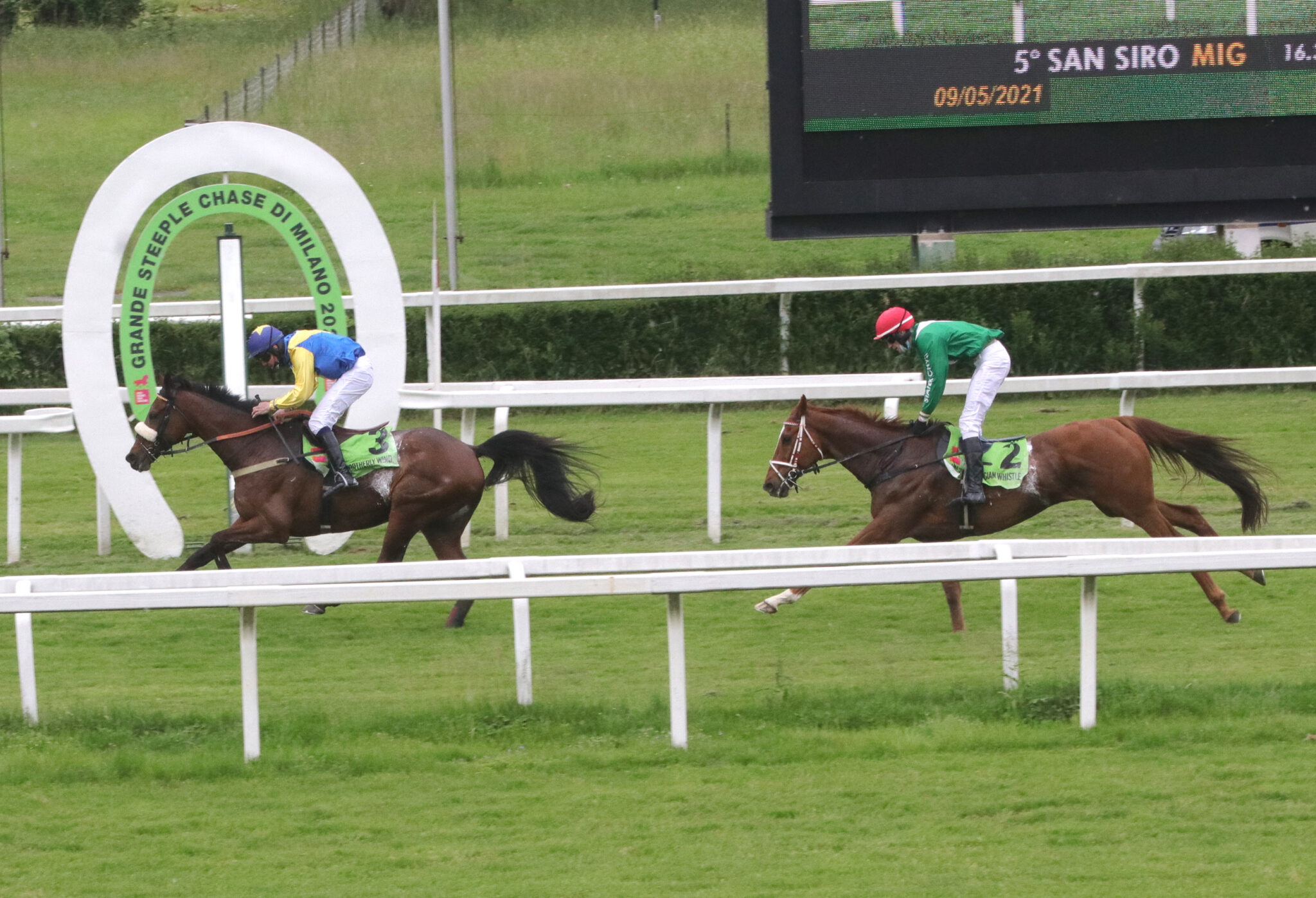 Grande Steeple Chase di Milano si conferma Northerly Wind Ippodromi Snai