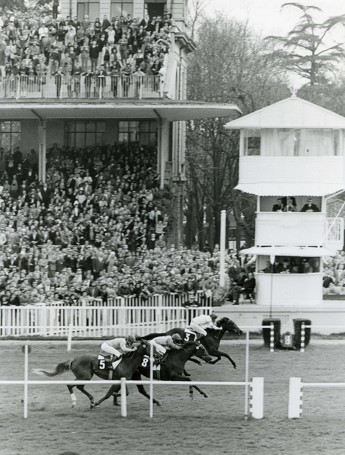 THE FOUNDATION OF THE SAN SIRO AND SESANA RACECOURSES