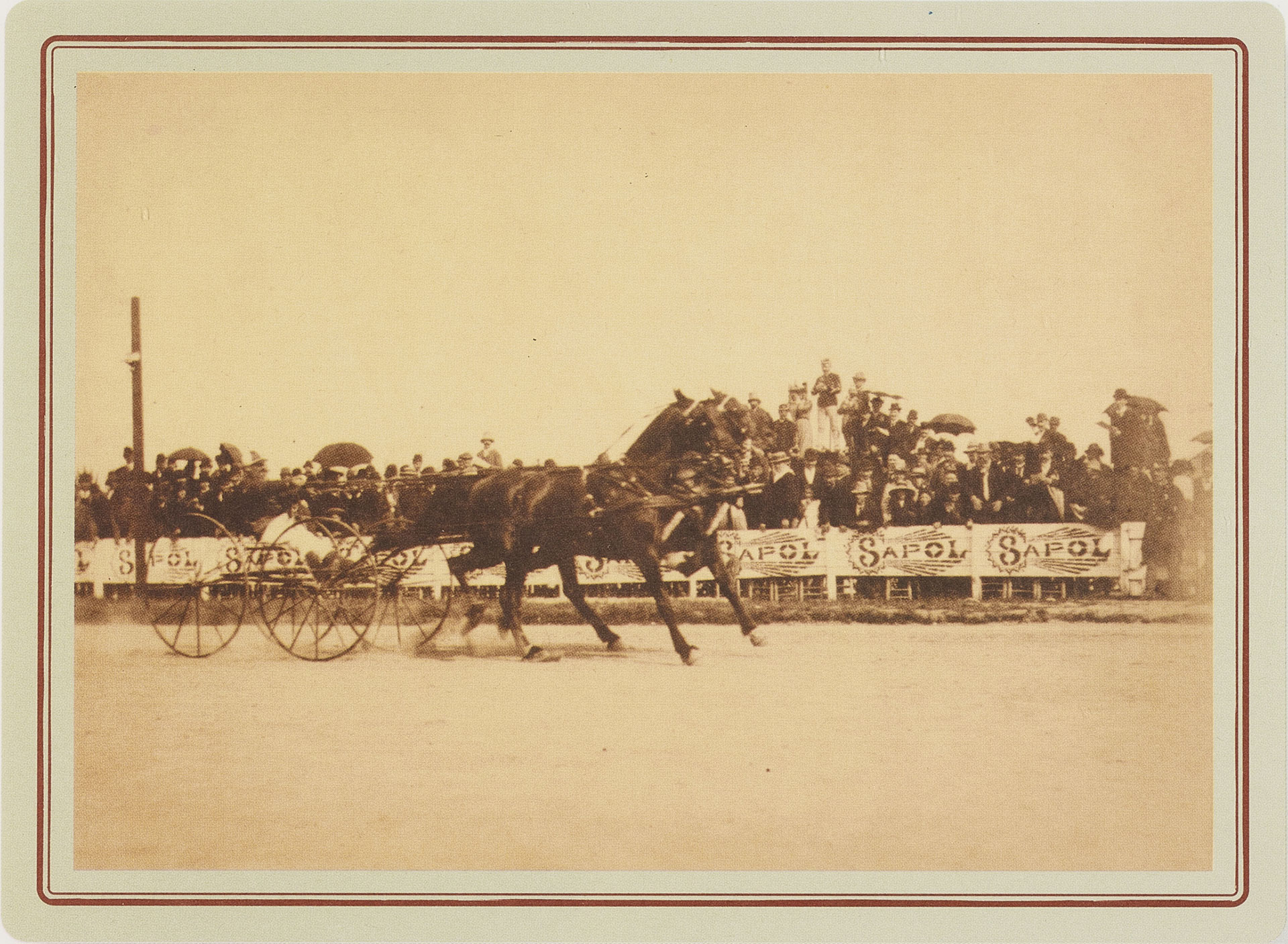 HARNESS RACES