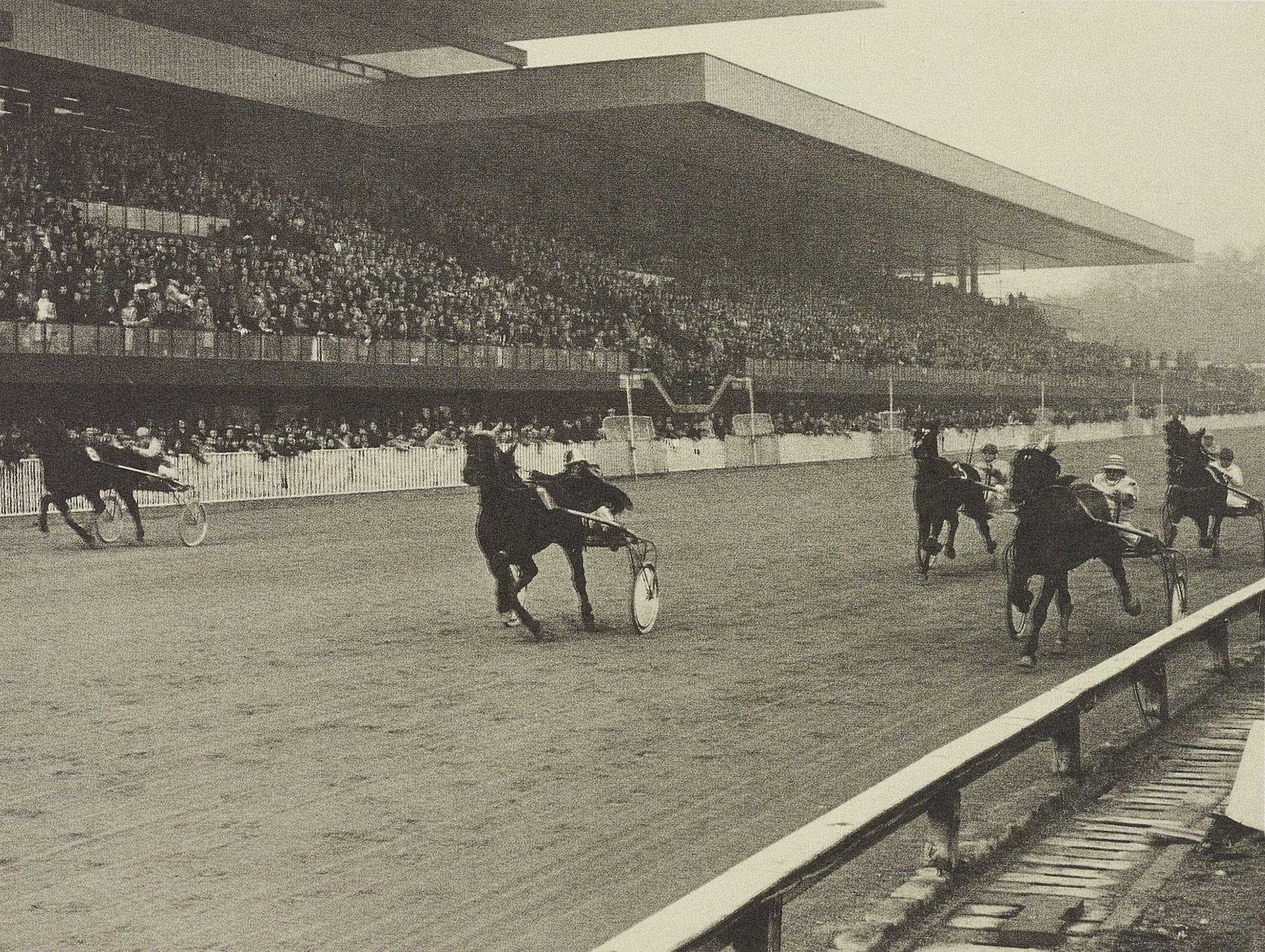 HARNESS RACES