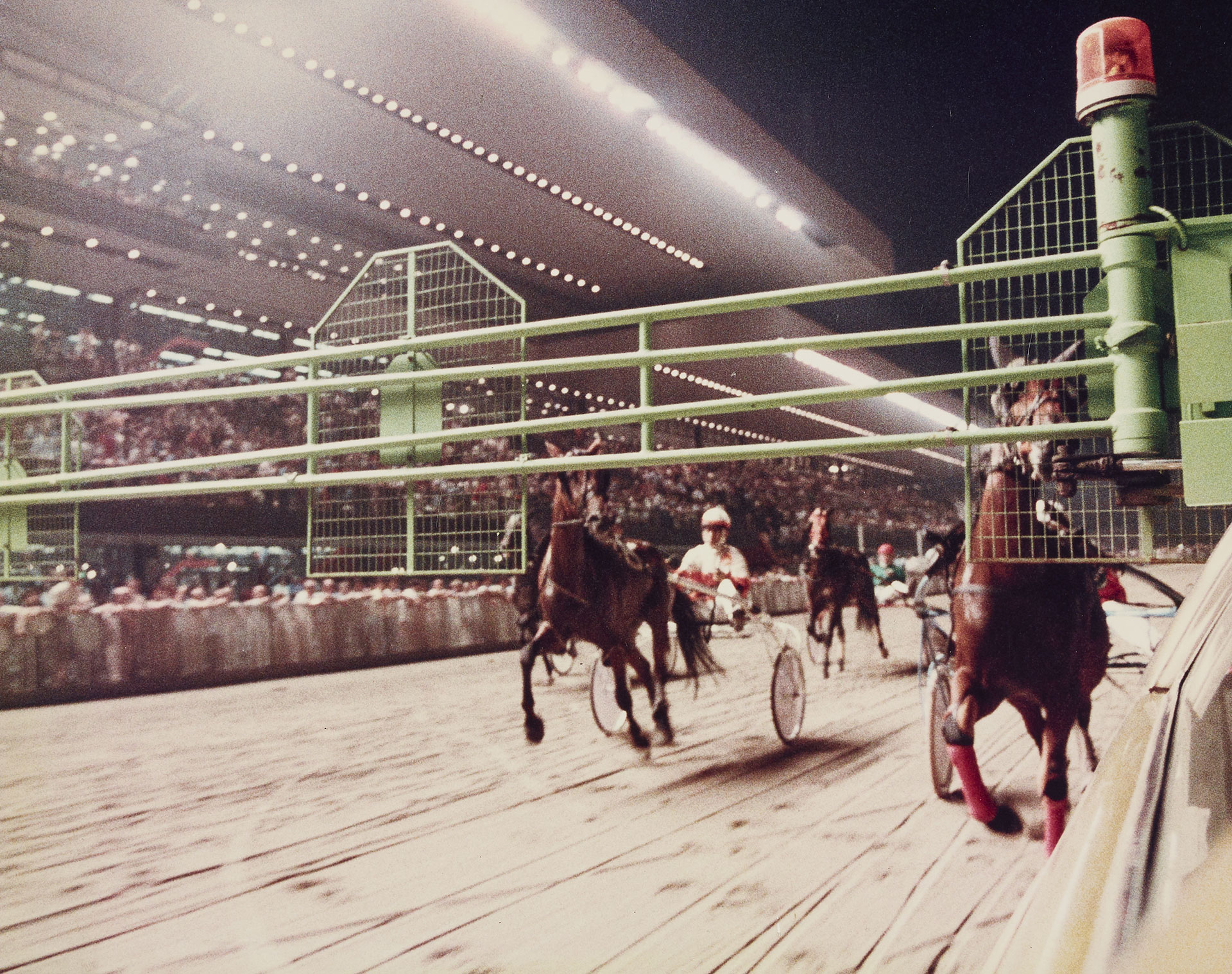 HARNESS RACES