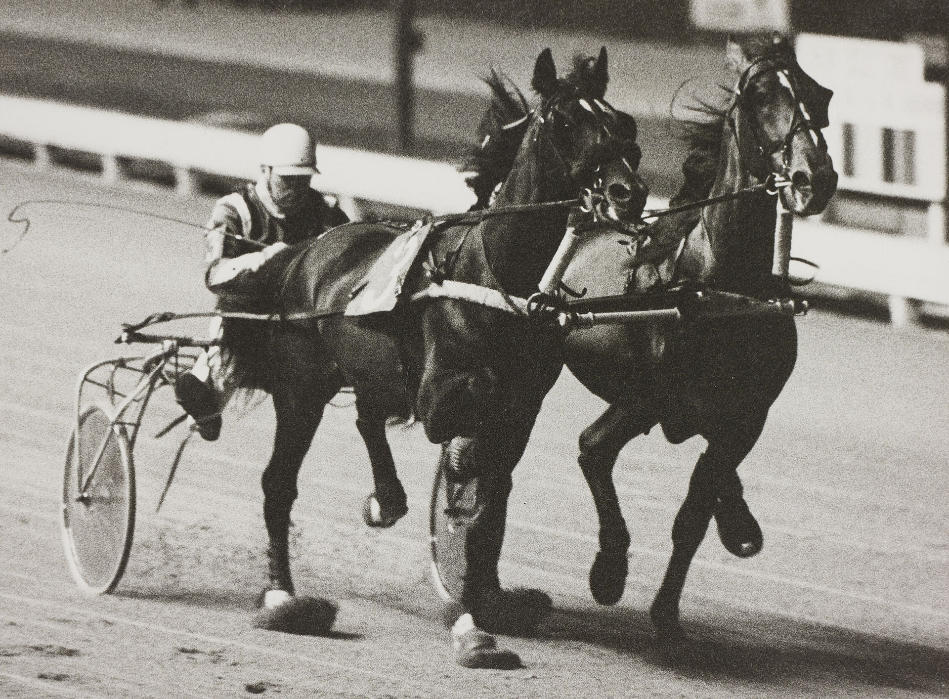 HARNESS RACES