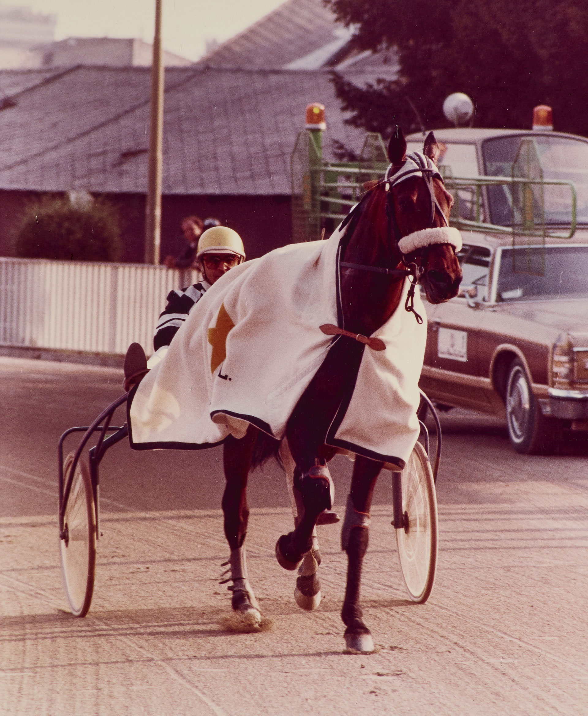 HARNESS RACES