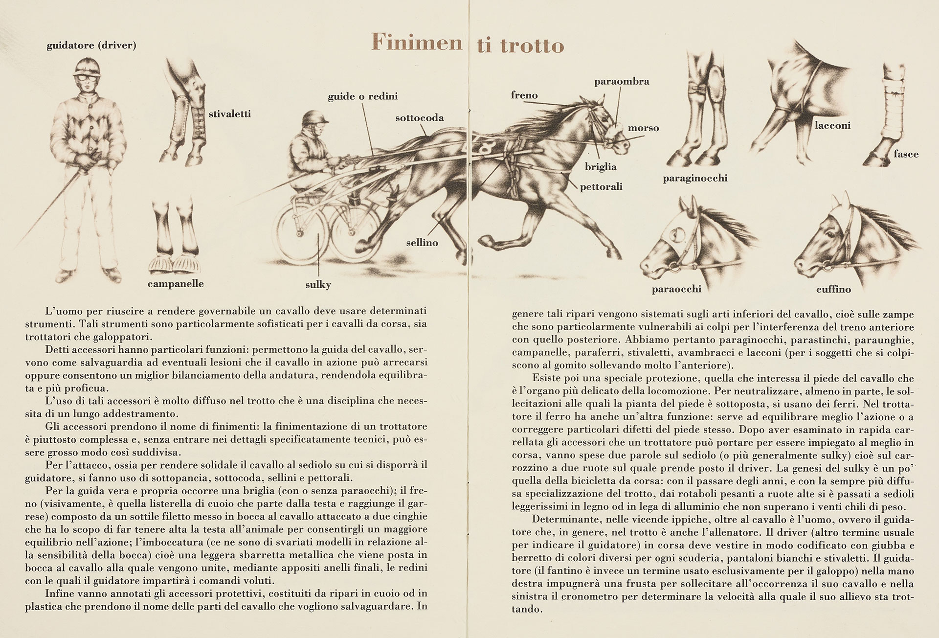 Prepararsi alla corsa: finimenti, sulky e andatura