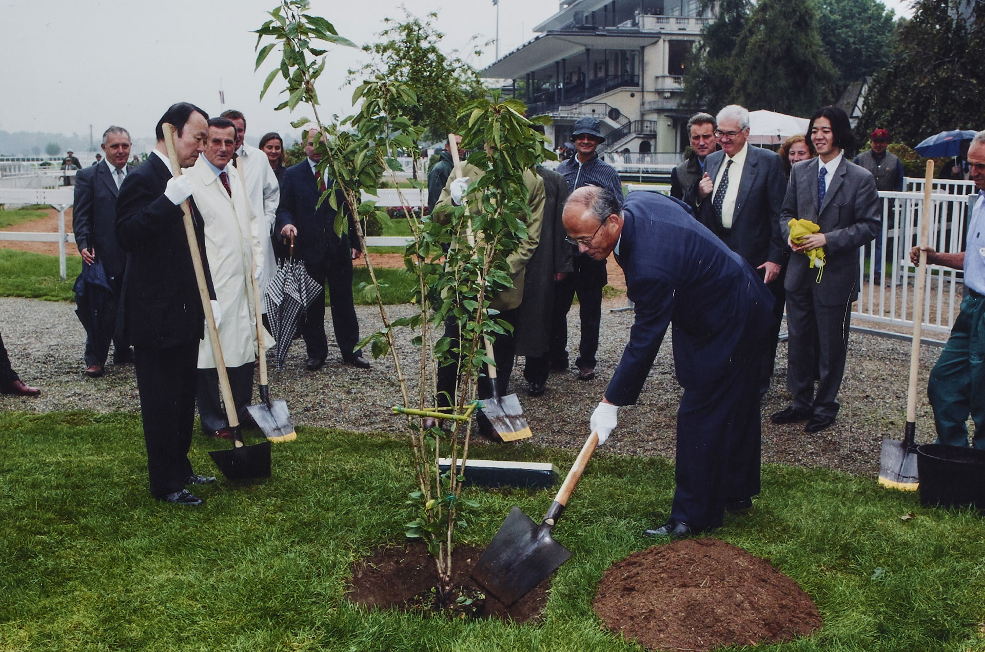 Piantumazione del ciliegio in onore del cavallo Falbrav nel parco dell'Ippodromo di San Siro, 2002