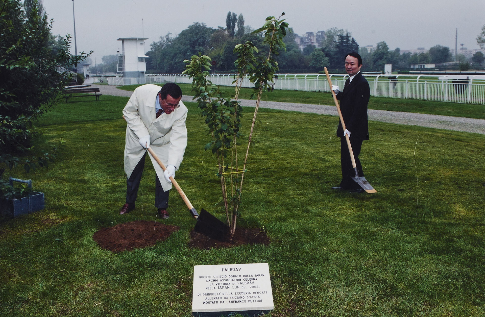 Piantumazione del ciliegio in onore del cavallo Falbrav nel parco dell'Ippodromo di San Siro, 2002