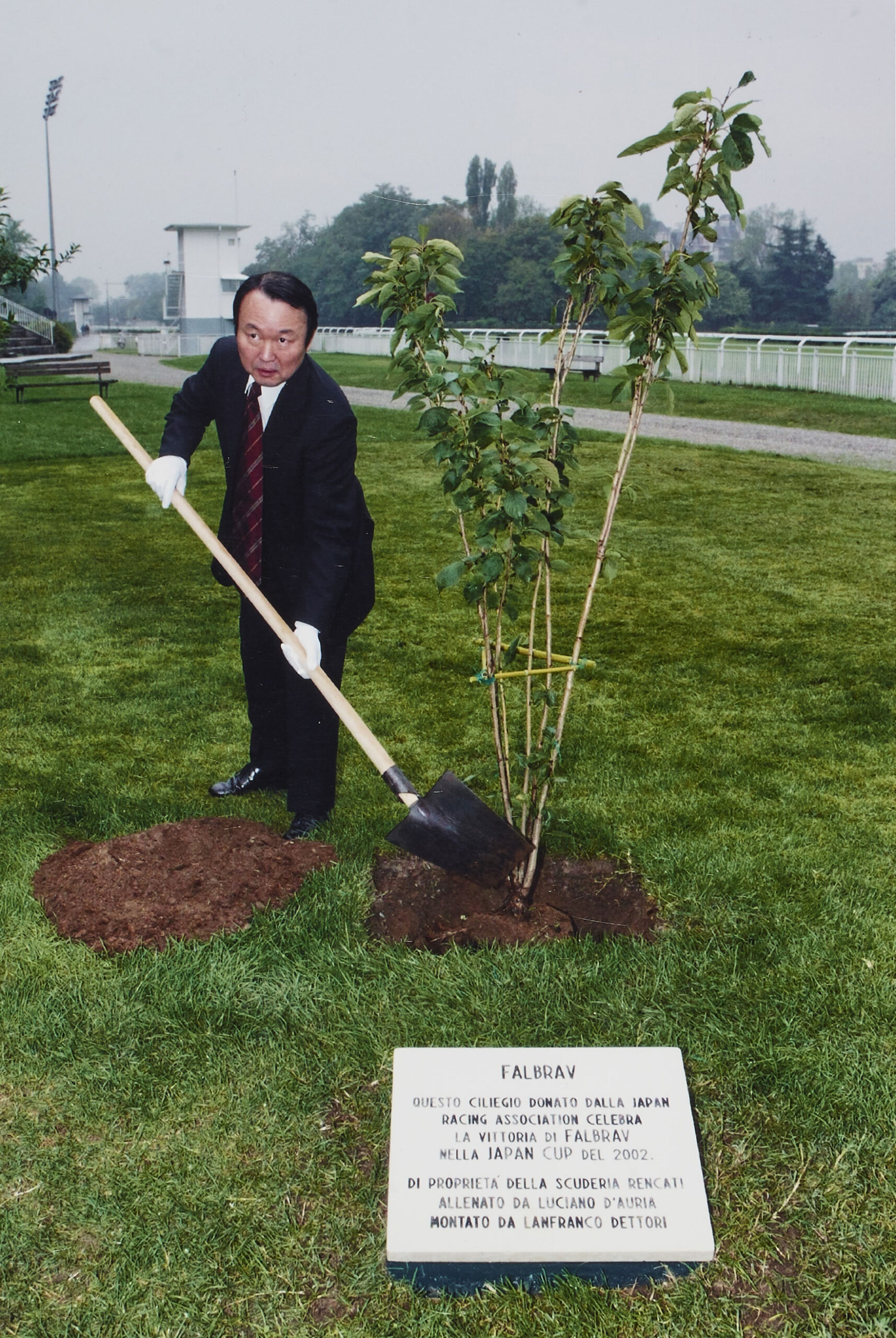 Piantumazione del ciliegio in onore del cavallo Falbrav nel parco dell'Ippodromo di San Siro, 2002