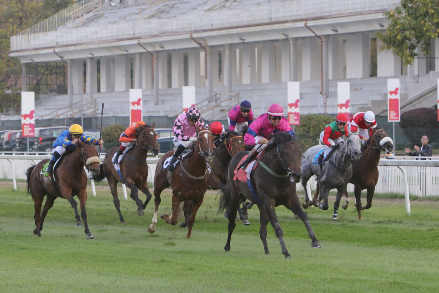 Premio Vittorio Riva Premio Criterium Nazionale E Premio Coolmore All 