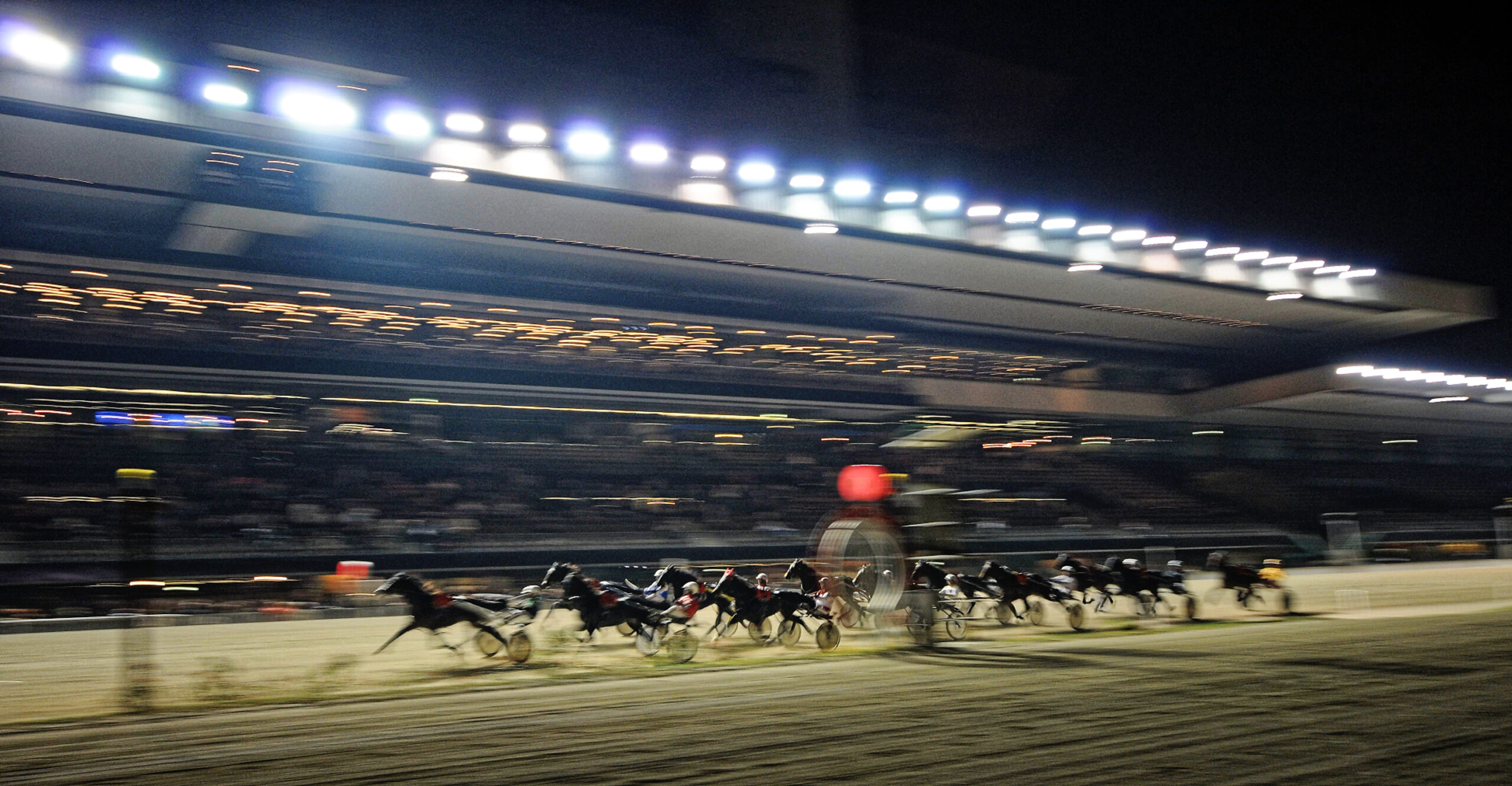 HARNESS RACES