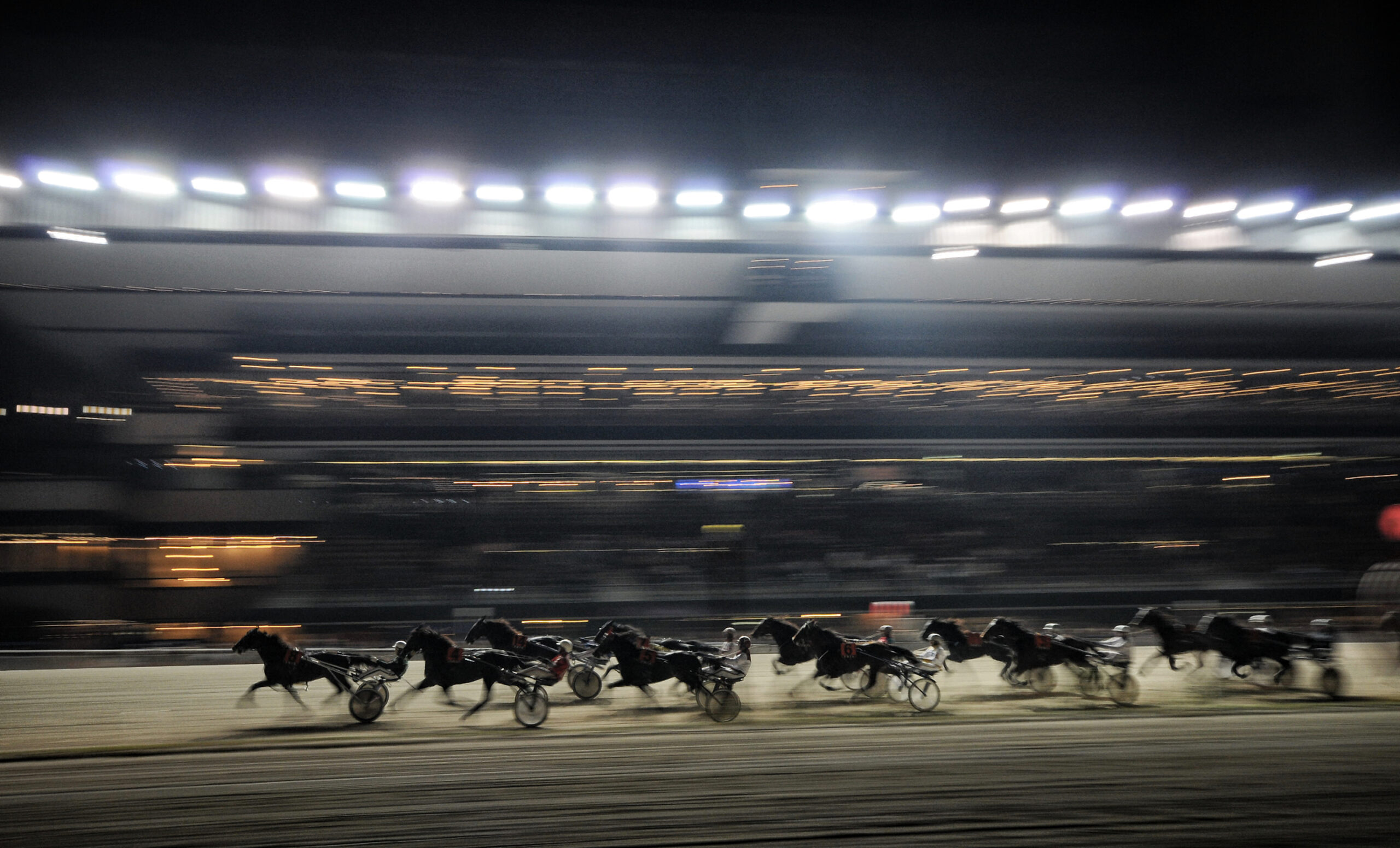 HARNESS RACES