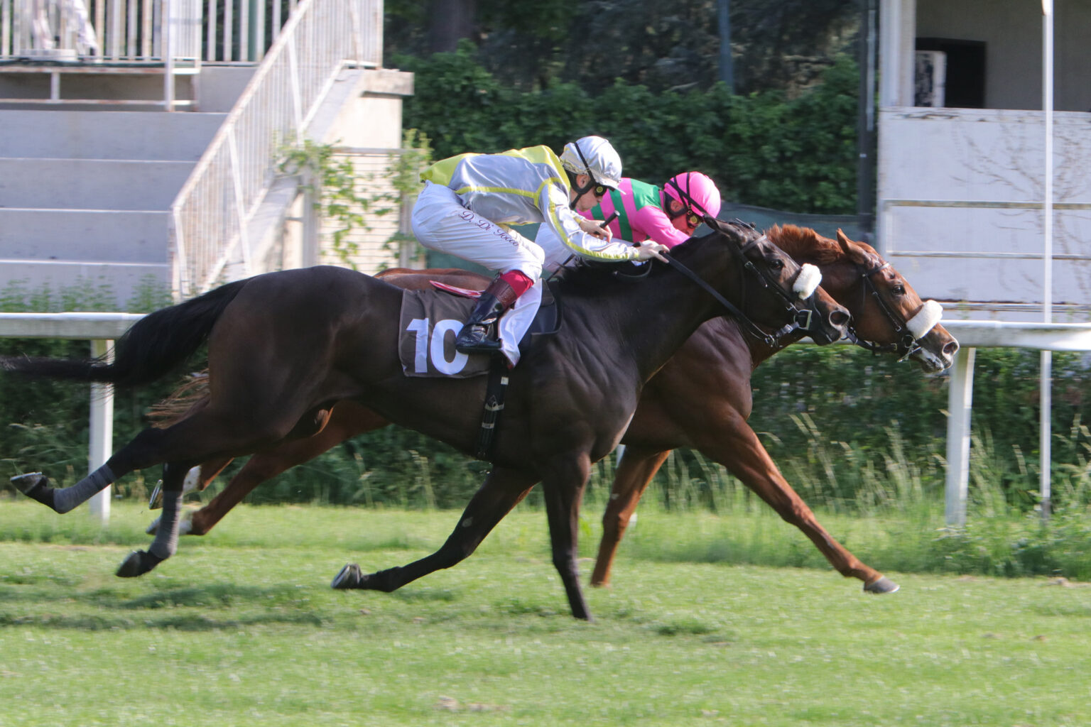 Attesa per i ‘classici’ Premio Nogara e Premio Incisa della Rocchetta