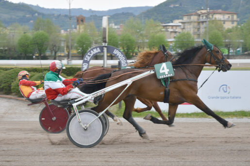 Ipomea di Poggio (M.Barbini) piega Impressive Dance e sigla il clou di domenica 12 aprile (Foto Rosellini - Snaitech)